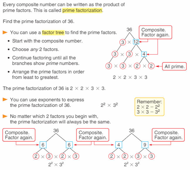 prime factorization